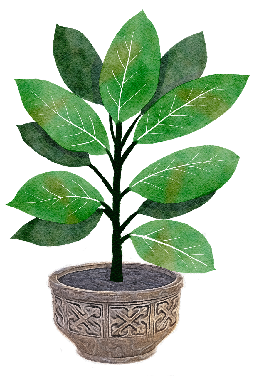 plant, nature, garden, flora, leaf, leaves, greenery, foliage, houseplant, home, design, drawing, pot, pottery, container, cutout